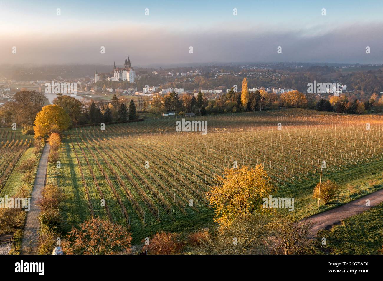 Vista aerea sul vigneto di Proschwitz e sul fiume Elba fino alla città di Meissen con il castello di Albrechtsburg , alba in autunno, Germania Foto Stock