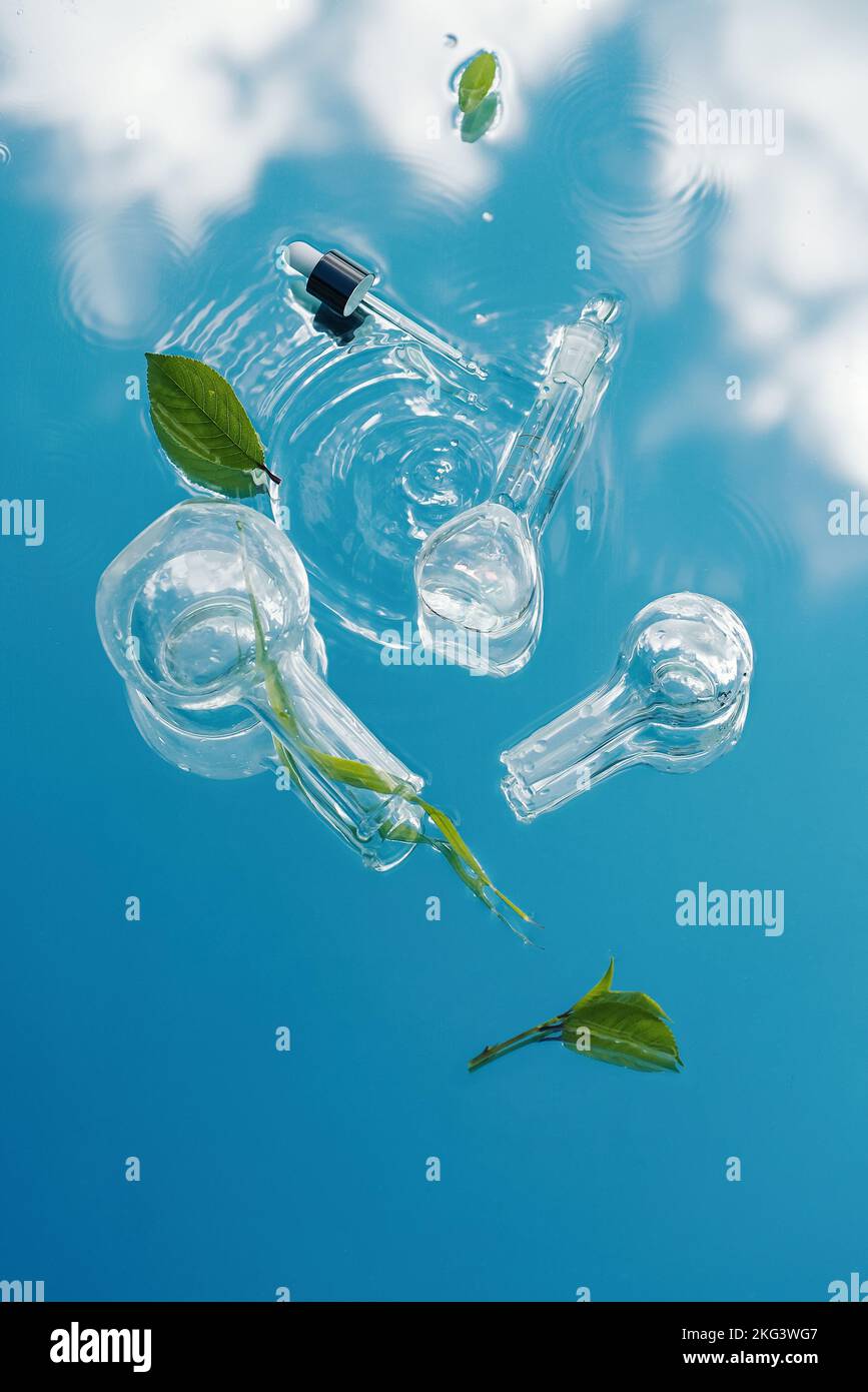 Varie vetreria da laboratorio con piante organiche si trovano su uno sfondo d'acqua con riflesso del cielo blu. Ricerca e sviluppo di laboratori scientifici Foto Stock