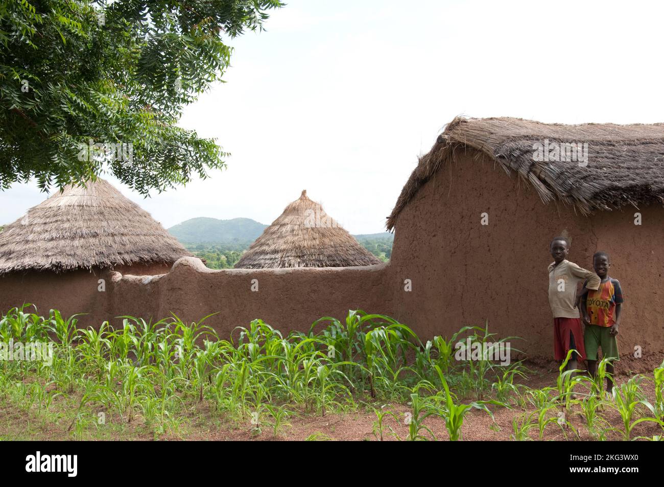 Tata Somba. Rurale Atacora, Provincia di Atacora, Benin, Tata somba sono tipiche case della regione, con mura che collegano tutti gli edifici in un casale. Foto Stock