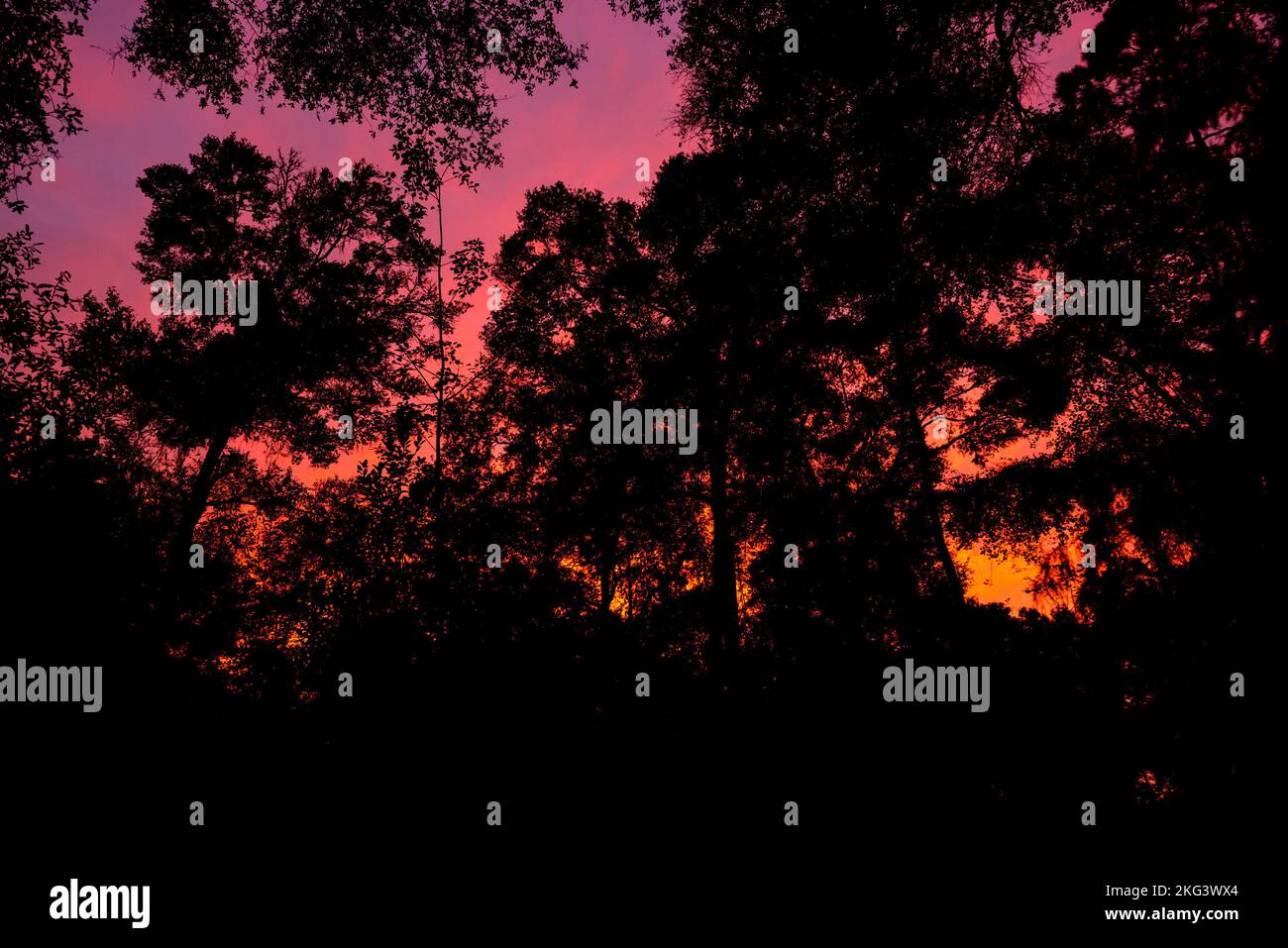 Mentre l'uragano Ian si avvicina alla Florida, il tramonto è stato spettacolare... mentre il cielo occidentale si è trasformato in sangue rosso con il sole che tramonta. Foto Stock