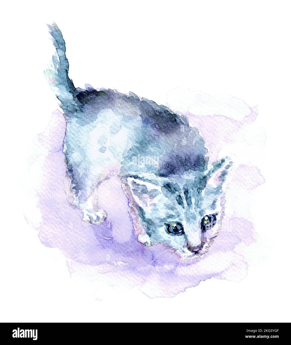 Bella illustrazione di un gattino grigio carino che guarda curiosamente. Acquerello, dipinto a mano con texture di carta. Umore di Natale. Isolato su bianco bg. Foto Stock