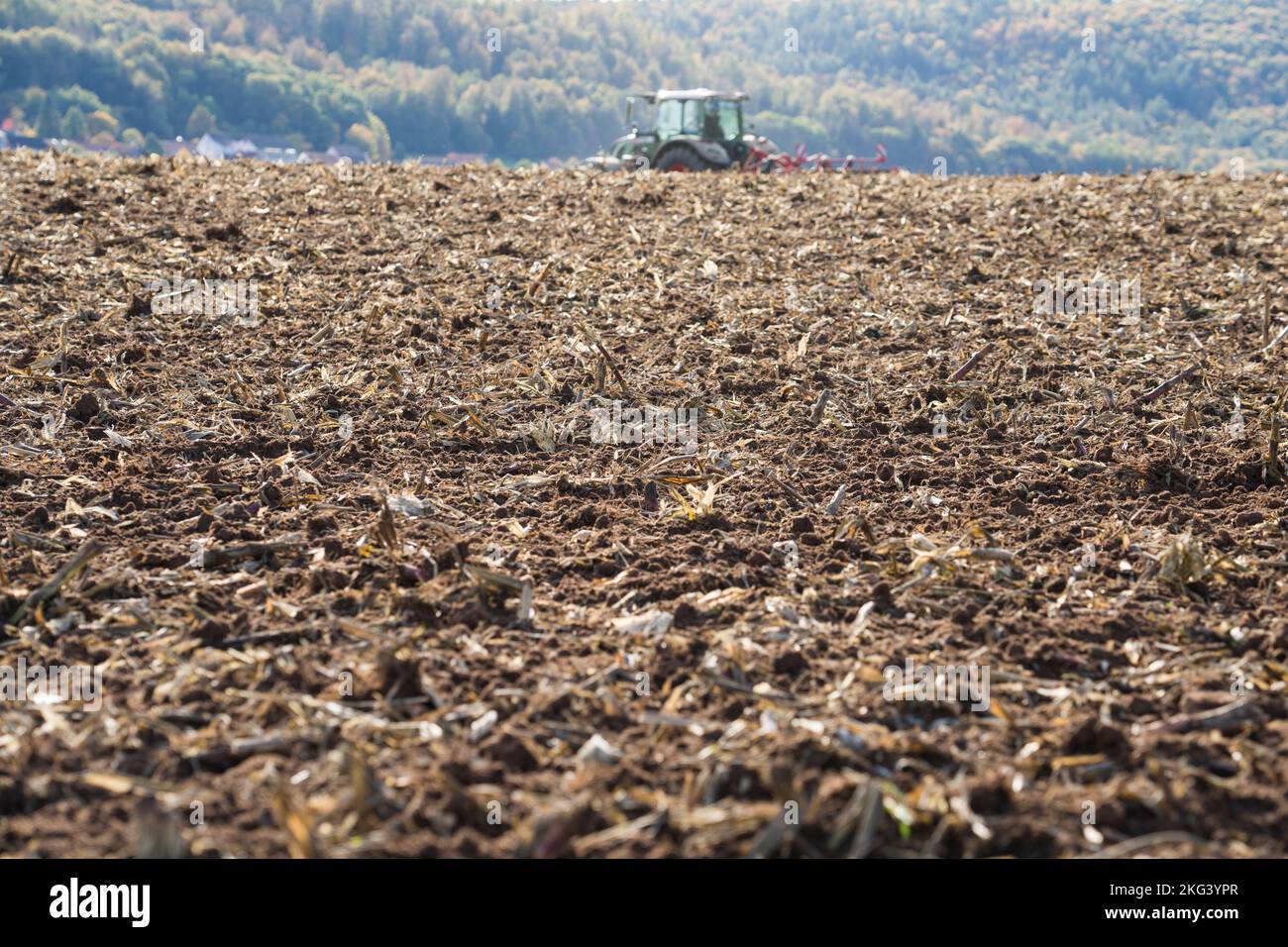 Raccolto e coltivato campo di colza nel mese di settembre, Weserbergland, Germania Foto Stock