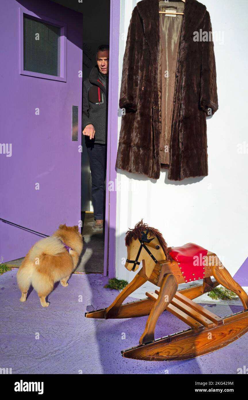 Un cavallo a dondolo in vendita a Brighton Marina Car Boot sale Foto Stock