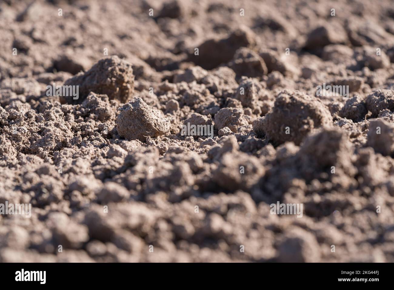 Campo Arato in autunno Foto Stock