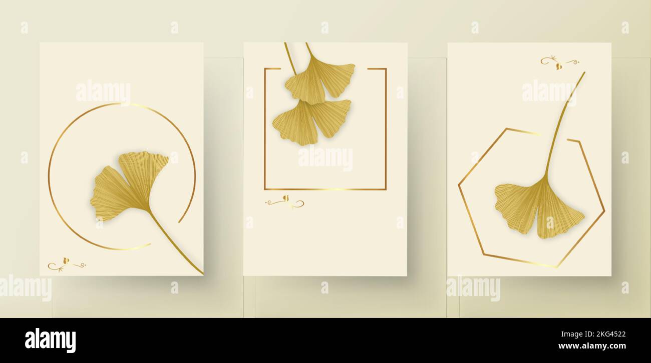 Impostare Ginkgo biloba foglie. Elementi di disegno a mano di lusso per biglietti da matrimonio con logo, cosmetici, spa, gioielli, yoga design. Elegante illustrazione vettoriale Illustrazione Vettoriale