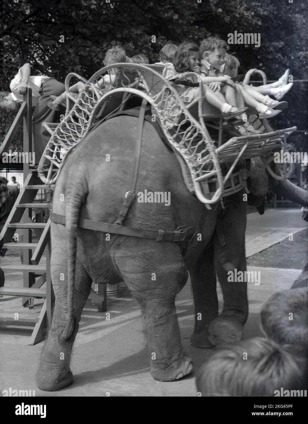 1950s, storico, diversi bambini in un giro in elefante allo zoo di Londra, seduti in un posto in vimini arruiato con il nome 'Rusty', Inghilterra, Regno Unito. Rusty era un elefante asiatico femminile che visse fino al 1969 allo Zoo di Londra. Foto Stock