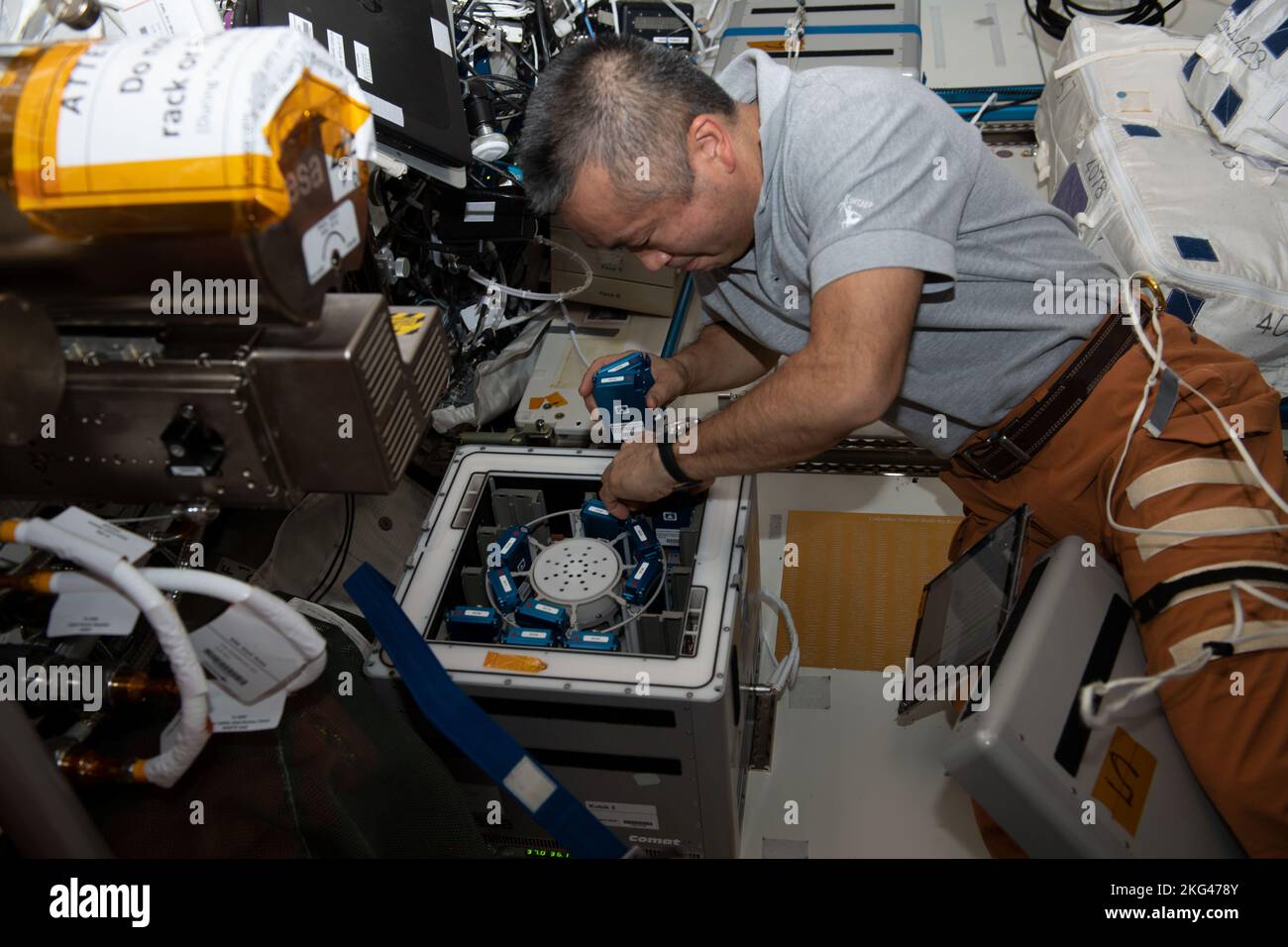 Contenitore per esperimenti di protezione antiossidante Disinstallation. Iss068e021831 (Nov. 14, 2022) --- astronauta e spedizione 68 l'ingegnere di volo Koichi Wakata della Japan Aerospace Exploration Agency (JAXA) rimuove contenitori per esperimenti dall'interno della struttura di ricerca Kubik del laboratorio Columbus, un incubatore a temperatura controllata. I contenitori dell'esperimento fanno parte dell'esperimento di protezione contro l'ossidazione che esplora le cellule neuronali coinvolte nelle funzioni cognitive e motorie degli esseri umani sia nello spazio che sulla Terra. Credit: Nicole Mann/NASA Foto Stock