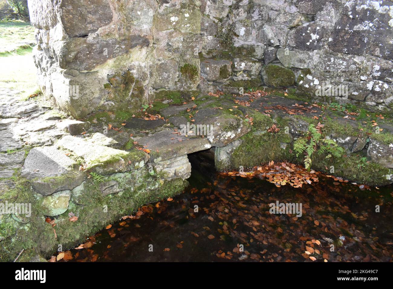 Pozzo Santo di St Cybi, Penisola di Llyn, Galles del Nord - Camera del pozzo Foto Stock