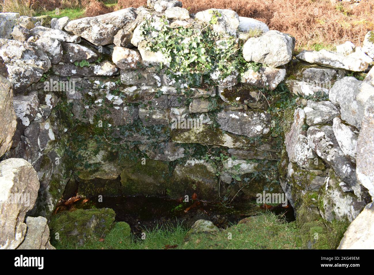 Pozzo Santo di St Cybi, Llyn Peninsular, Galles del Nord - all'interno resti rovinati di latrine edificio distaccato Foto Stock
