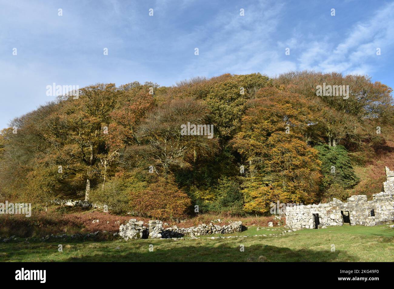 St Cybi's Well Careakers/Keepers Cottage, (Llyn Peninsular North Wales) bene Camera e rovine resti di piccolo edificio latrine distaccato in autunno Foto Stock