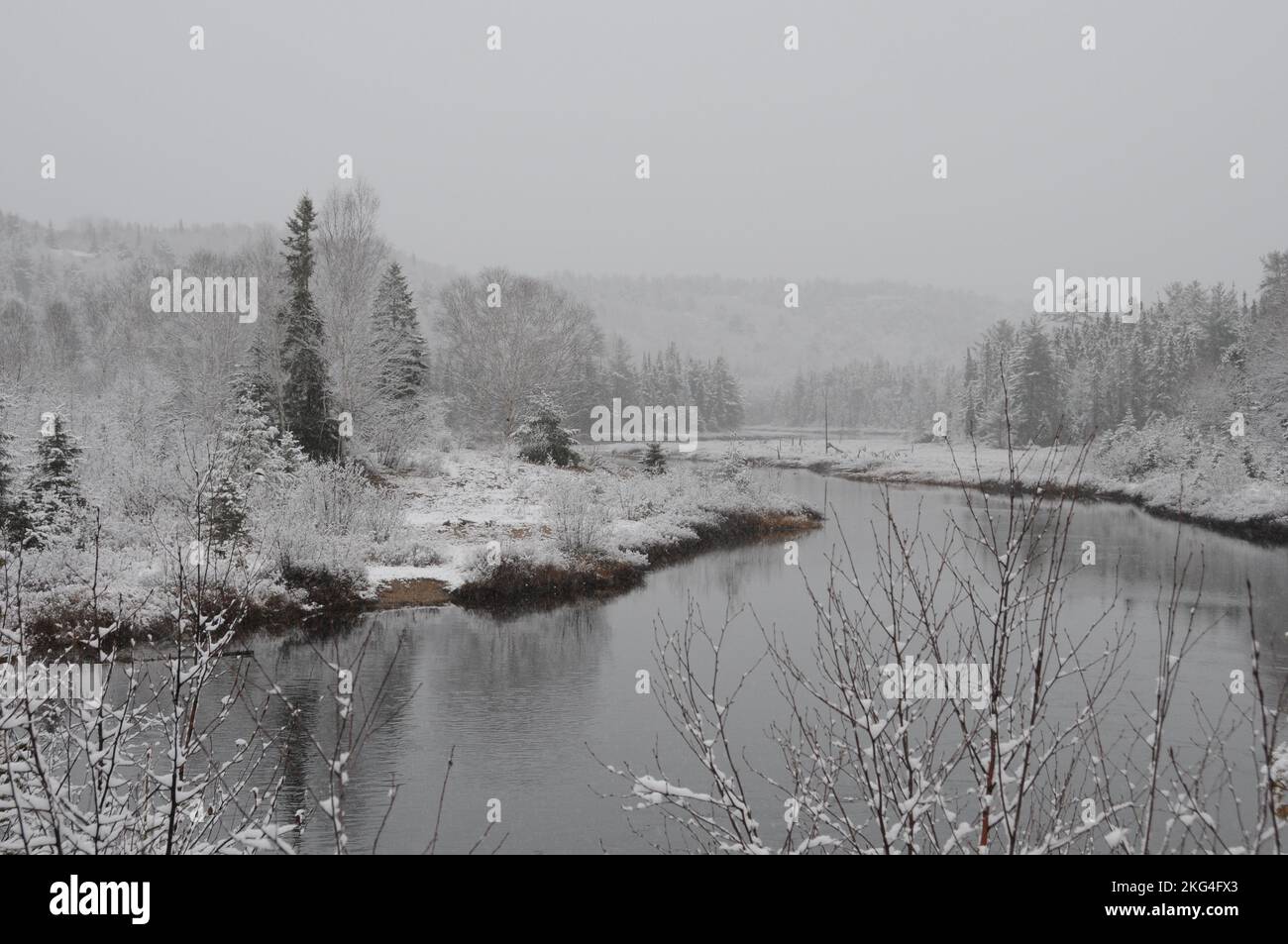 Paesaggio invernale che mostra la sua coperta bianca su alberi, fiume e con un cielo grigio con una sensazione di tranquillità di pace. Foto orizzontale. Foto Stock