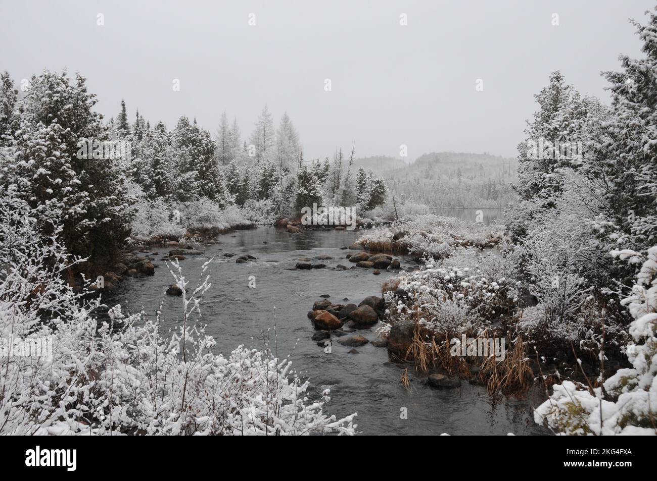 Paesaggio invernale che mostra la sua coperta bianca su alberi, fiume e con un cielo grigio con una sensazione di tranquillità di pace. Foto orizzontale. Foto Stock