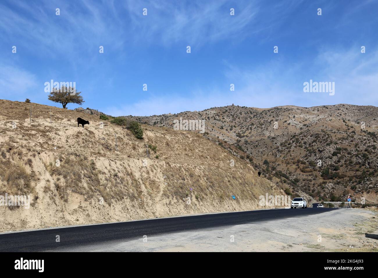 Passo di Tahtakaracha, catena montuosa di Zarafshon, montagne di Pamir Alay, Provincia di Samarcanda, Uzbekistan, Asia centrale Foto Stock