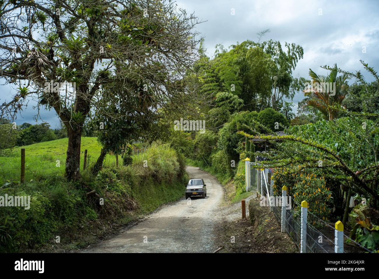 Filandia, Quindio, Colombia - Giugno 6 2022: Una macchina che passa attraverso una strada sterrata circondata da un sacco di alberi e piante, e una recinzione filo Foto Stock