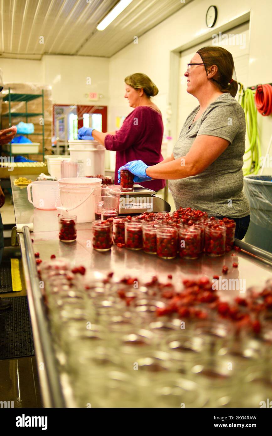 Lavoratrici nello stabilimento di lavorazione delle ciliegie, riempiendo vasi di vetro con ciliegie, a Seaquist Orchards, Door County, Sister Bay, Wisconsin, STATI UNITI Foto Stock