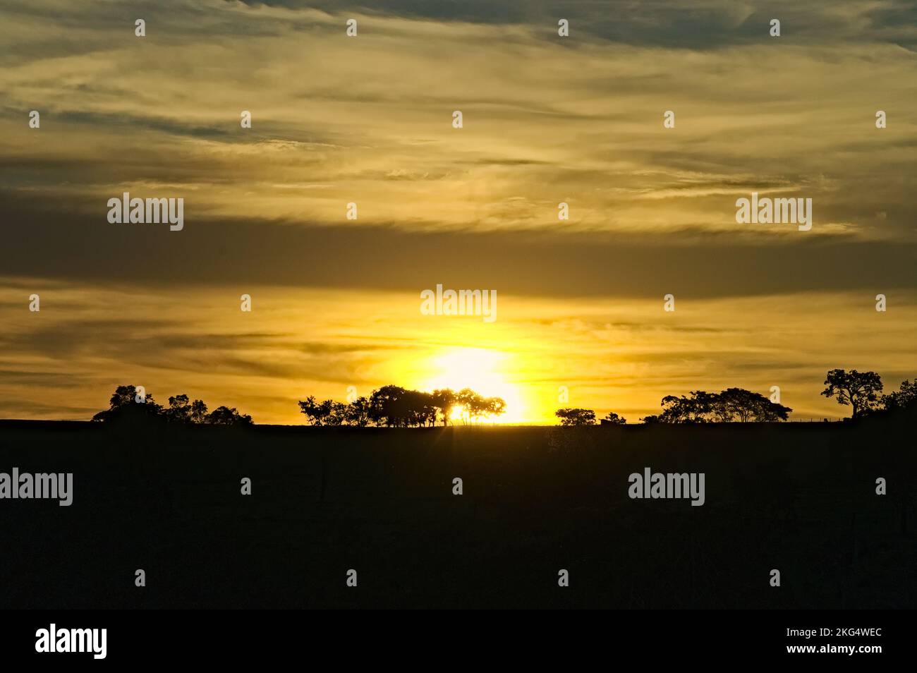 Tramonto nel Pantanal. Regione del Mato Grosso do sul (Pantanal) dove ha una forte vita animale e vegetazione preservata Foto Stock