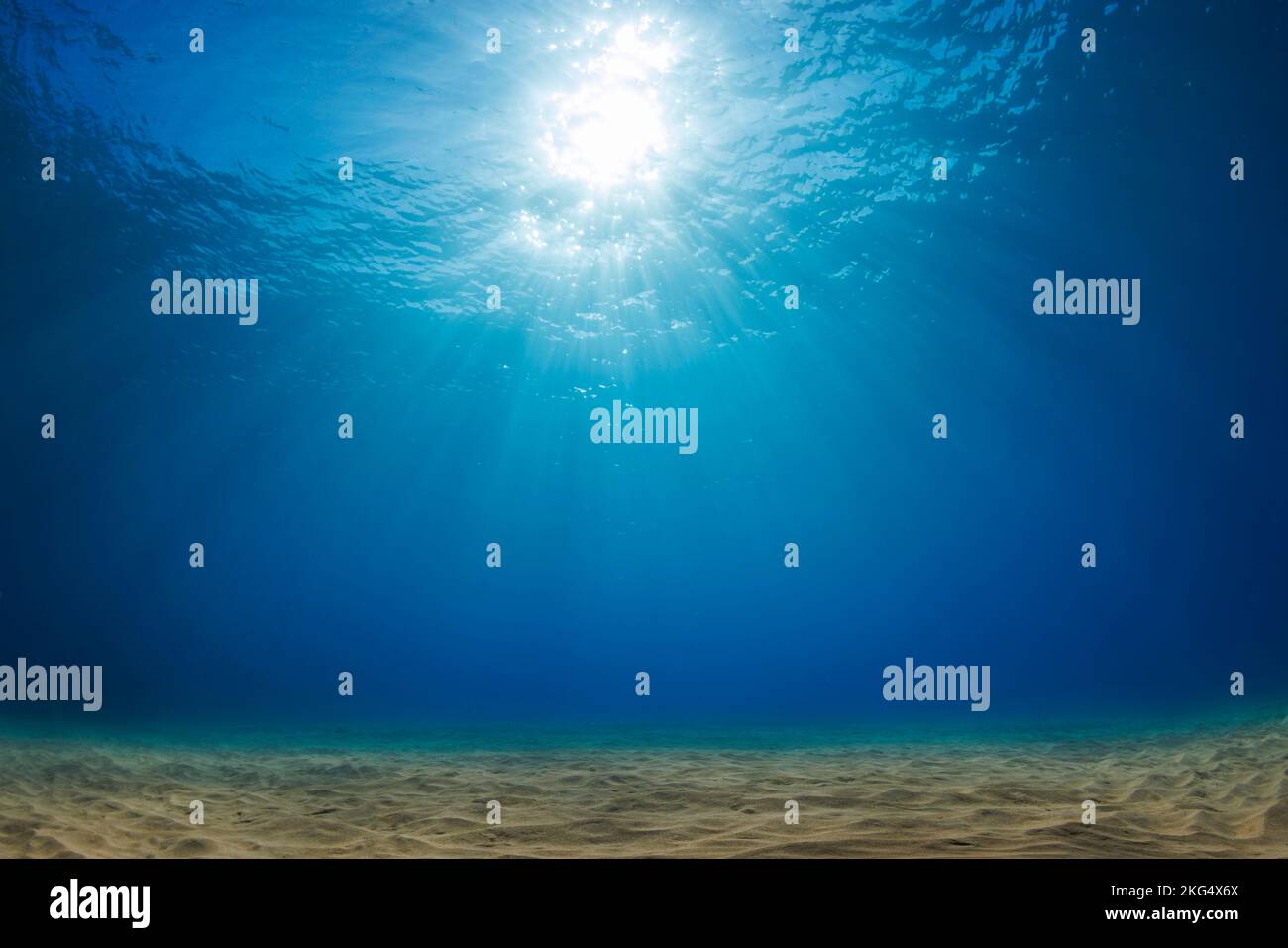 Luce del sole del tardo pomeriggio che si trasmette attraverso la superficie su un fondo sabbioso, Hawaii, Oceano Pacifico. Foto Stock