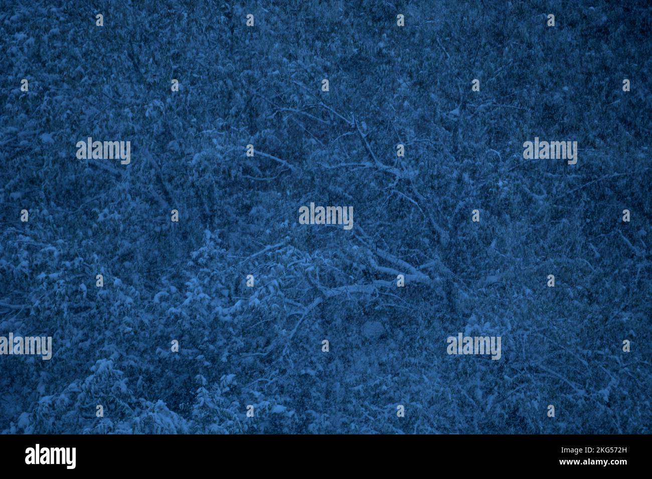 Una tempesta di neve a Santa Fe, New Mexico. (leggermente colorato). Foto Stock