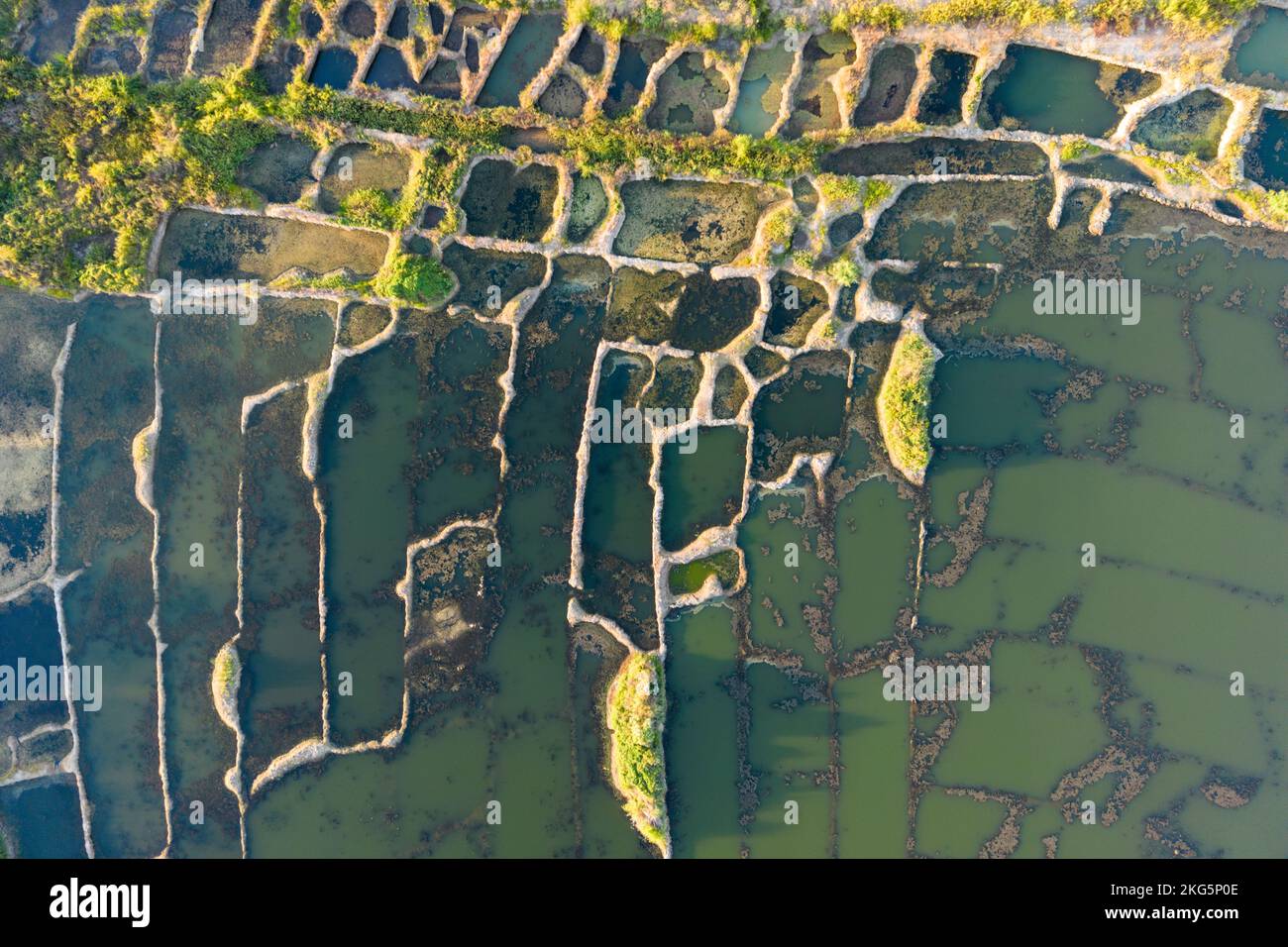 Vista dall'alto degli alberi verdi e dell'acqua, fotografia da una palude di drone o marea marea si trova tra la terra e l'acqua salmastra che viene regolarmente allagata dalle maree. Foto Stock