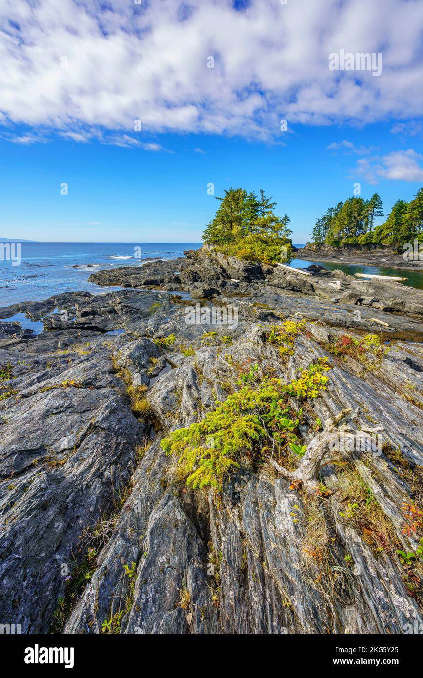 Foresta costiera e le formazioni rocciose a Botany Bay sulla costa est dell'isola di Vancouver Foto Stock