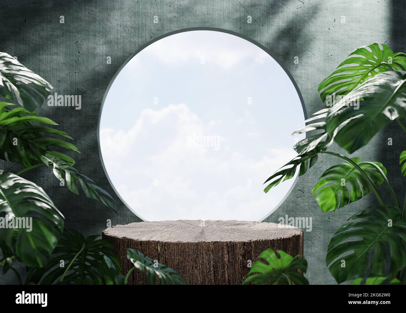 Podio in legno per l'esposizione dei prodotti in una sala verde con pianta monstera e sfondo d'ombra. Tema della presentazione del prodotto. Cosmetici naturali e biologici Foto Stock