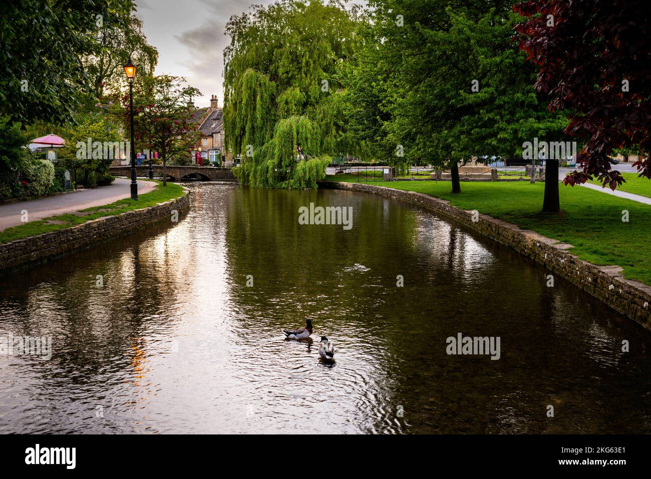 Fiume Windrush e basso arco ponti pedonali in pietra a Bourton-on-the-Water nelle Cotswolds, Inghilterra. Foto Stock