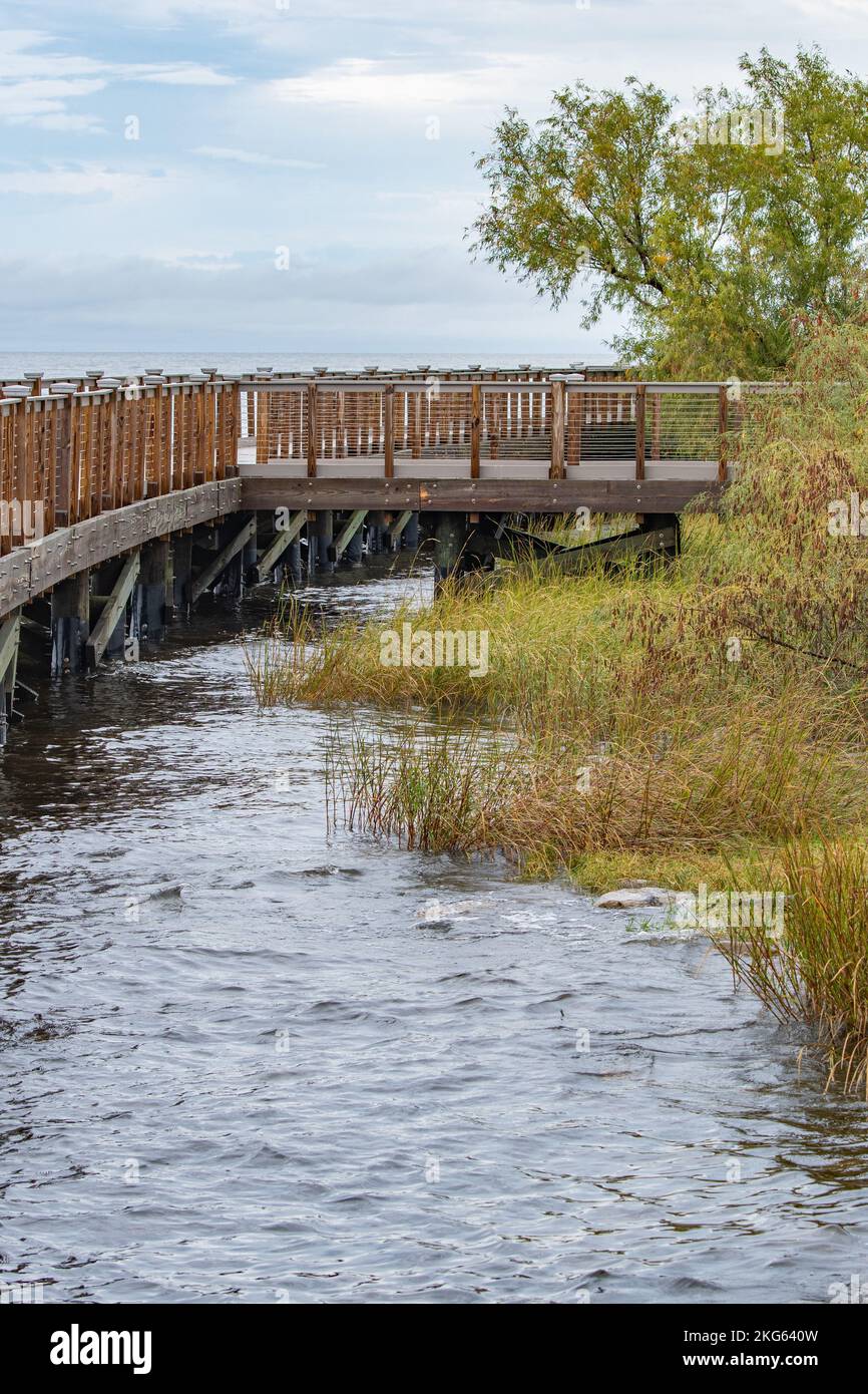 Bucktown Marsh si trova sulla riva meridionale del lago Ponchartrain e dà priorità al ritorno a un habitat naturale. Foto Stock