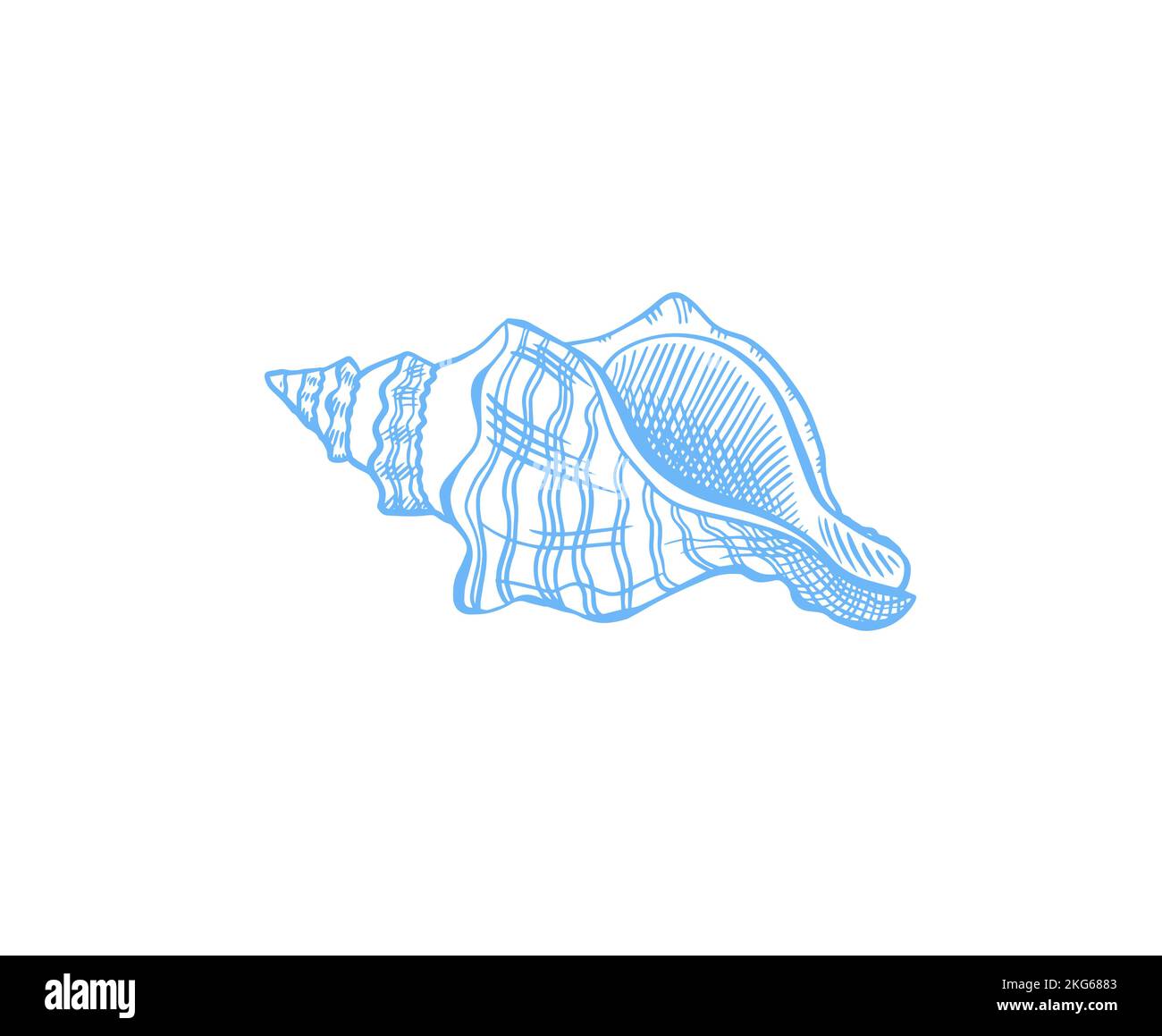 Illustrazione vettoriale del disegno di schizzo Seashell Illustrazione Vettoriale