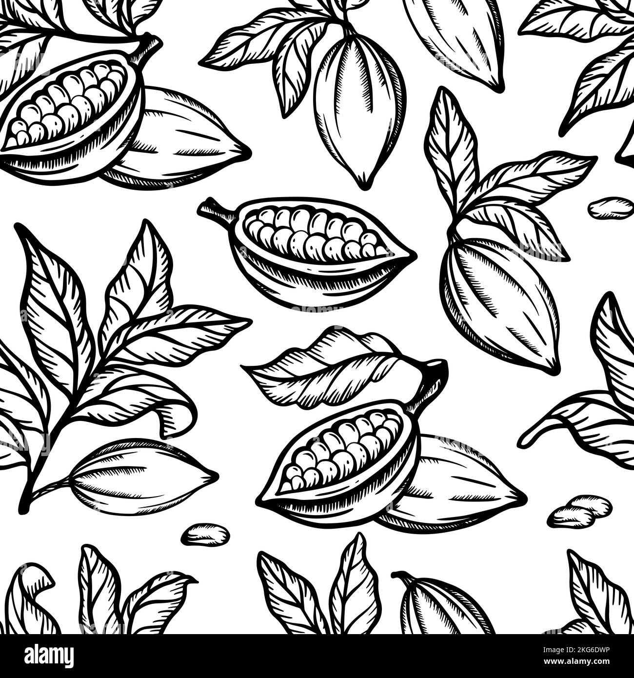 CACAO MONOCROMO Fruit Bean e foglie con rami di Theobroma Tree Monochrome Design disegno disegnato a mano disegno senza cuciture modello Vector Illustration for Pr Illustrazione Vettoriale
