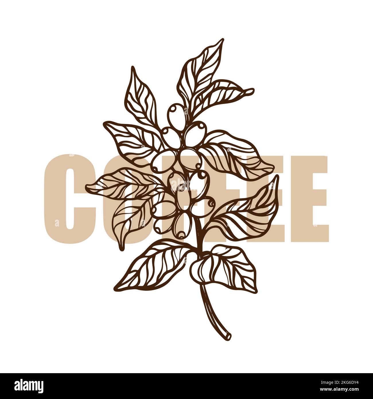 COFFEE BRANCH OUTLINE Design di adesivi ed etichette per il negozio biologico di Dessert drink prodotti disegnati a mano Sketch clip Art Vector Illustration Set for Illustrazione Vettoriale