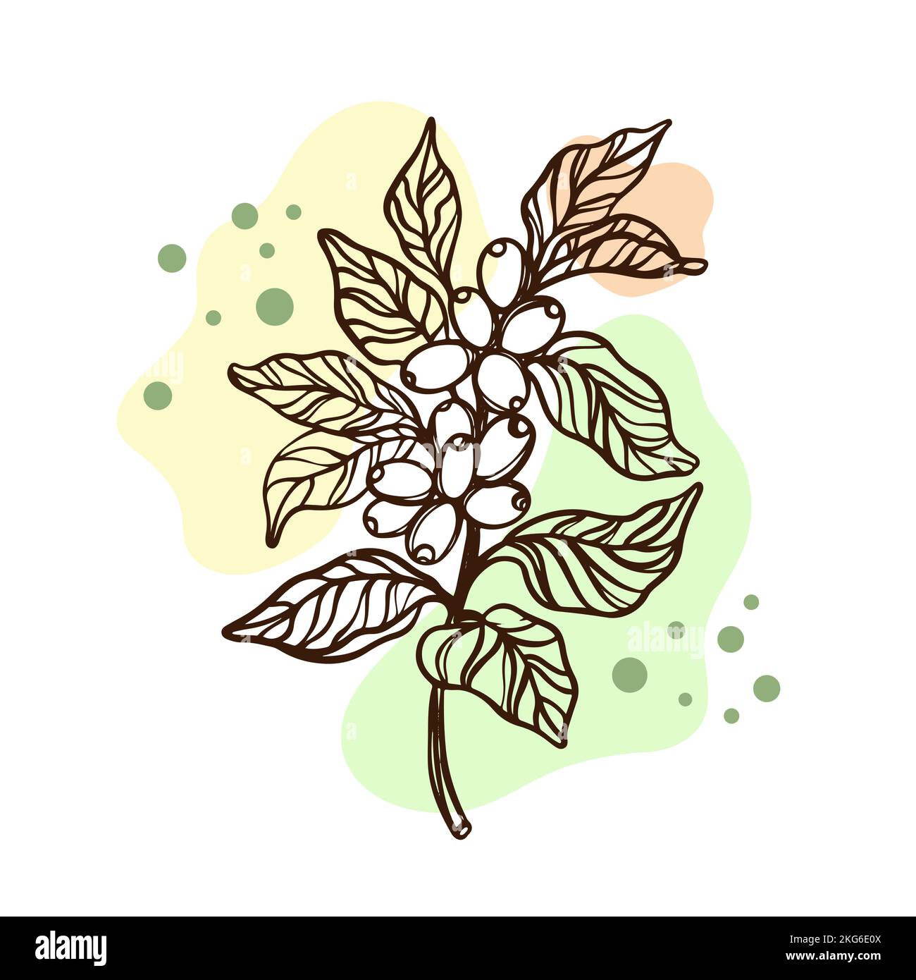 CAFFÈ SU Un RAMO di Coffee Tree Berries Design di adesivi ed etichette per Negozio di bevande Dessert disegnate a mano schizzo clip Art Vector Illustration Set Illustrazione Vettoriale