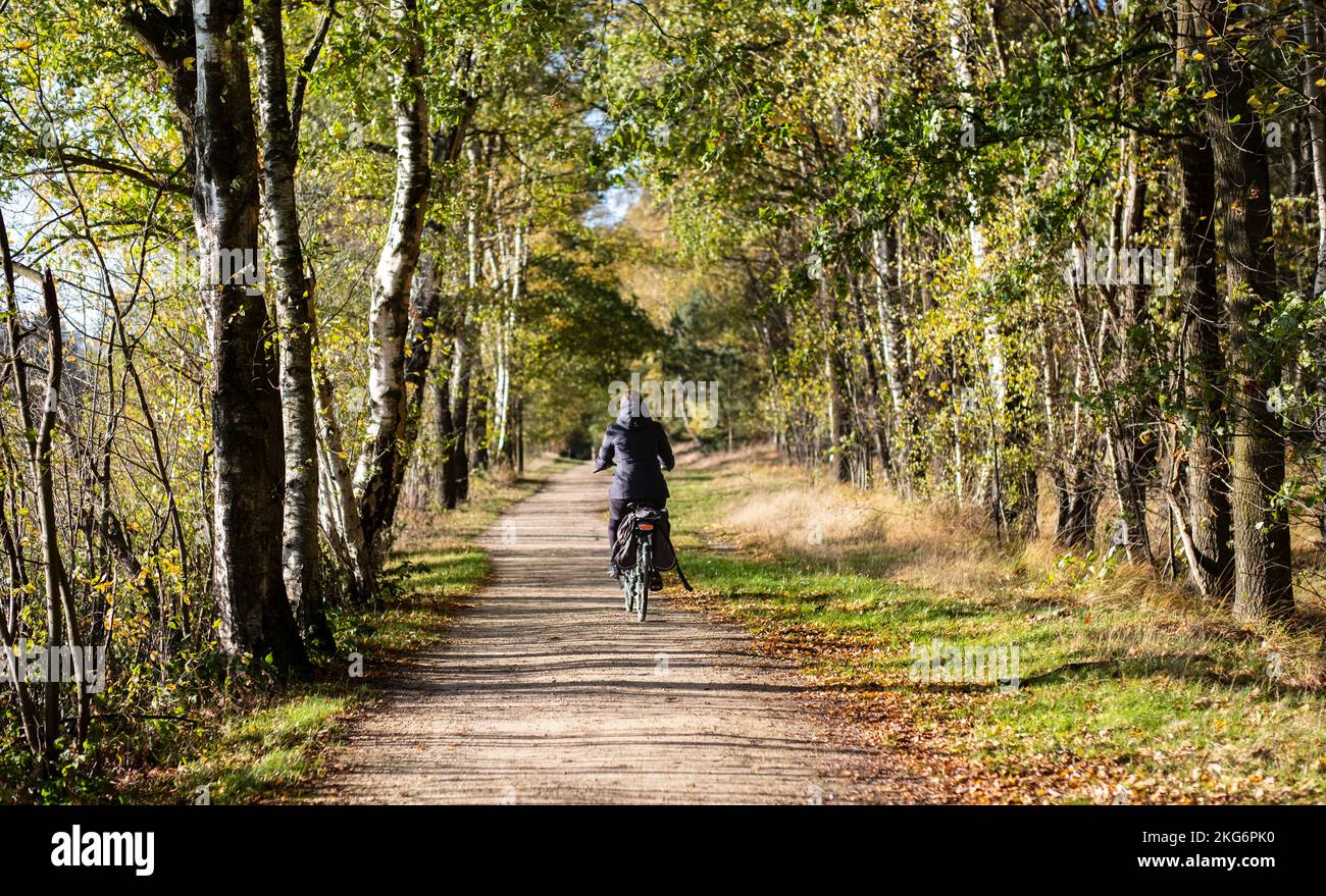 Pedalando nel parco in autunno, presentando un sentiero sereno ricoperto di foglie cadute e circondato da alberi, perfetto per una vita all'aria aperta e salutare Foto Stock