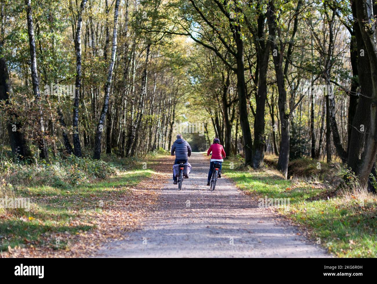 Pedalando nel parco in autunno, presentando un sentiero sereno ricoperto di foglie cadute e circondato da alberi, perfetto per una vita all'aria aperta e salutare Foto Stock