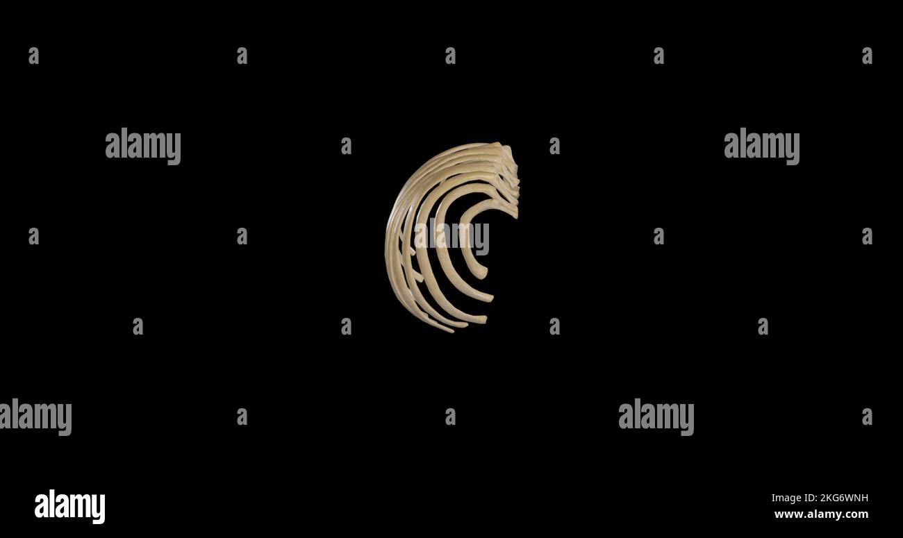 Vista superiore delle nervature destre Foto Stock