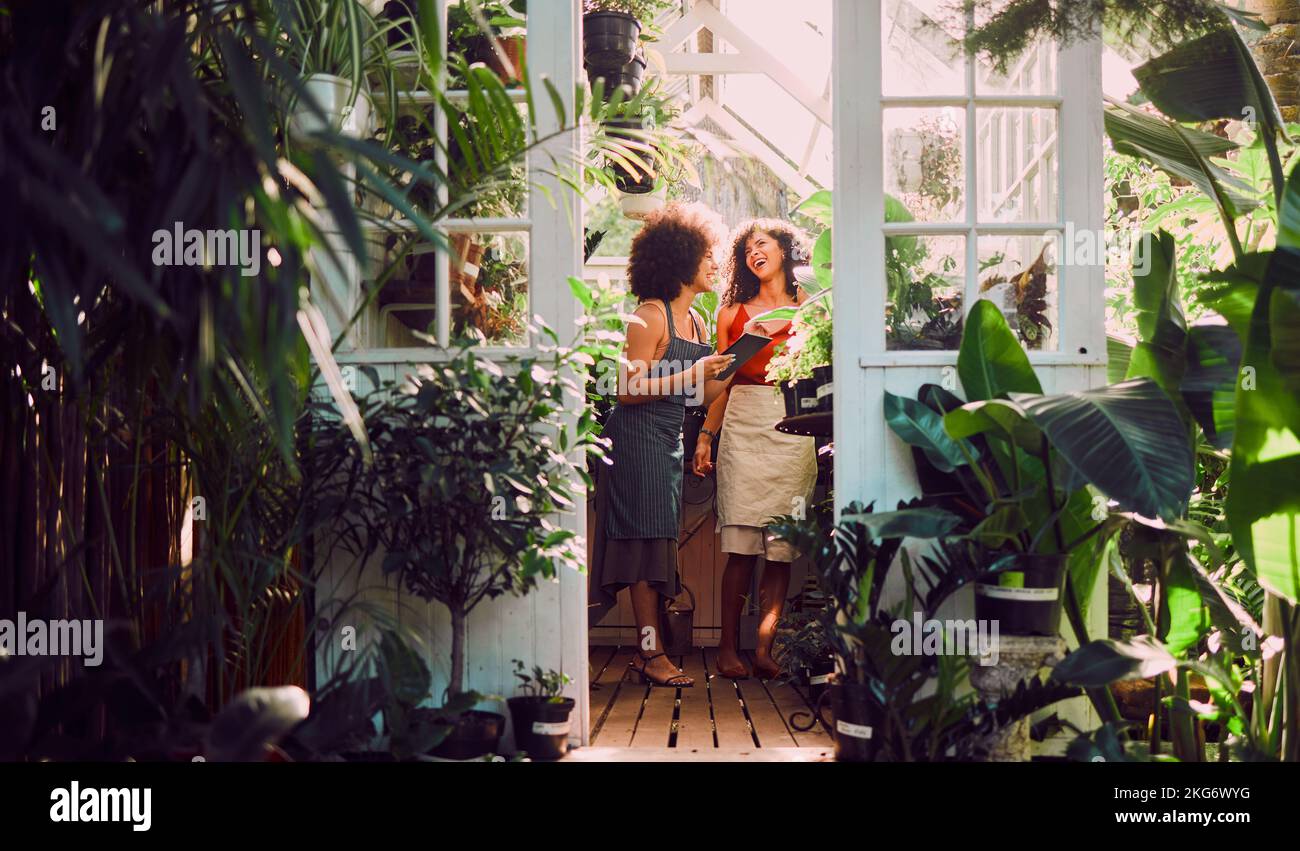 Donne nere, tablet o ridere in un negozio di impianti, Garden center o serra nella gestione della crescita, controllo delle scorte o analisi della natura. Sorridere, felice o. Foto Stock