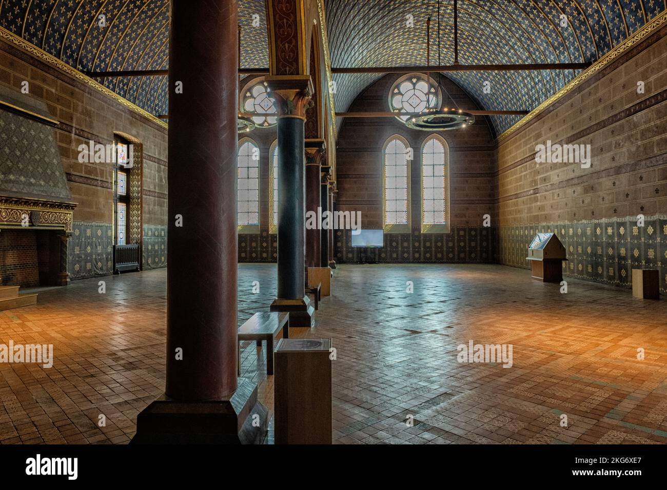 La Camera di Stato, Salle des Etats, fortezza medievale del castello di Blois, Blois, Loir-et-Cher reparto, Center-Val de la Loire, in Francia, in Europa Foto Stock