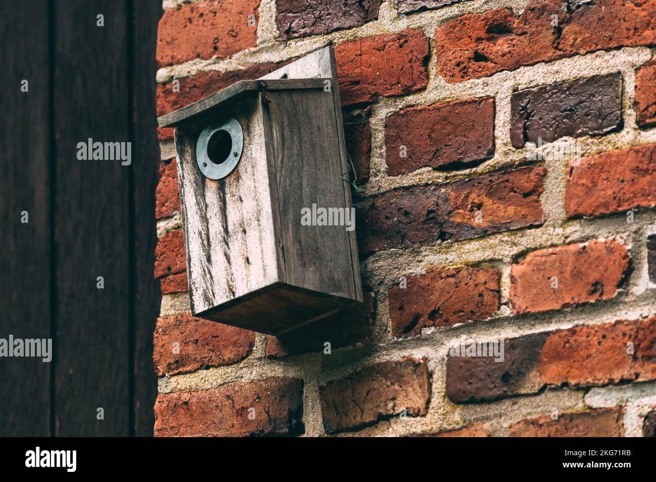 Vecchia casa di uccello scatola di nidificazione di legno sulla parete, fuoco selettivo Foto Stock
