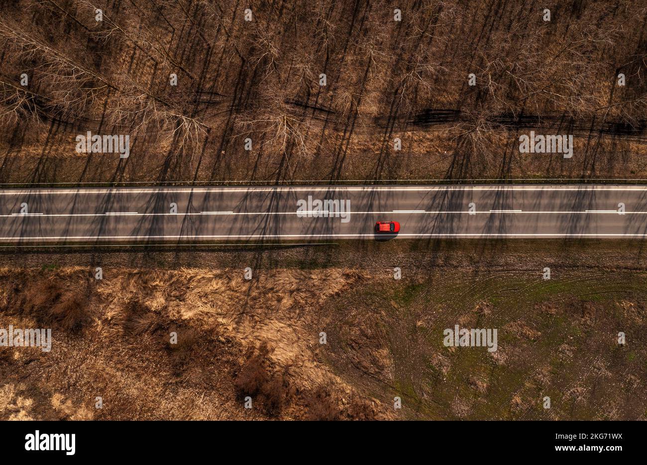 Auto rossa sulla strada attraverso il paesaggio boscoso nel pomeriggio autunnale, ripresa aerea dal drone pov, direttamente sopra Foto Stock