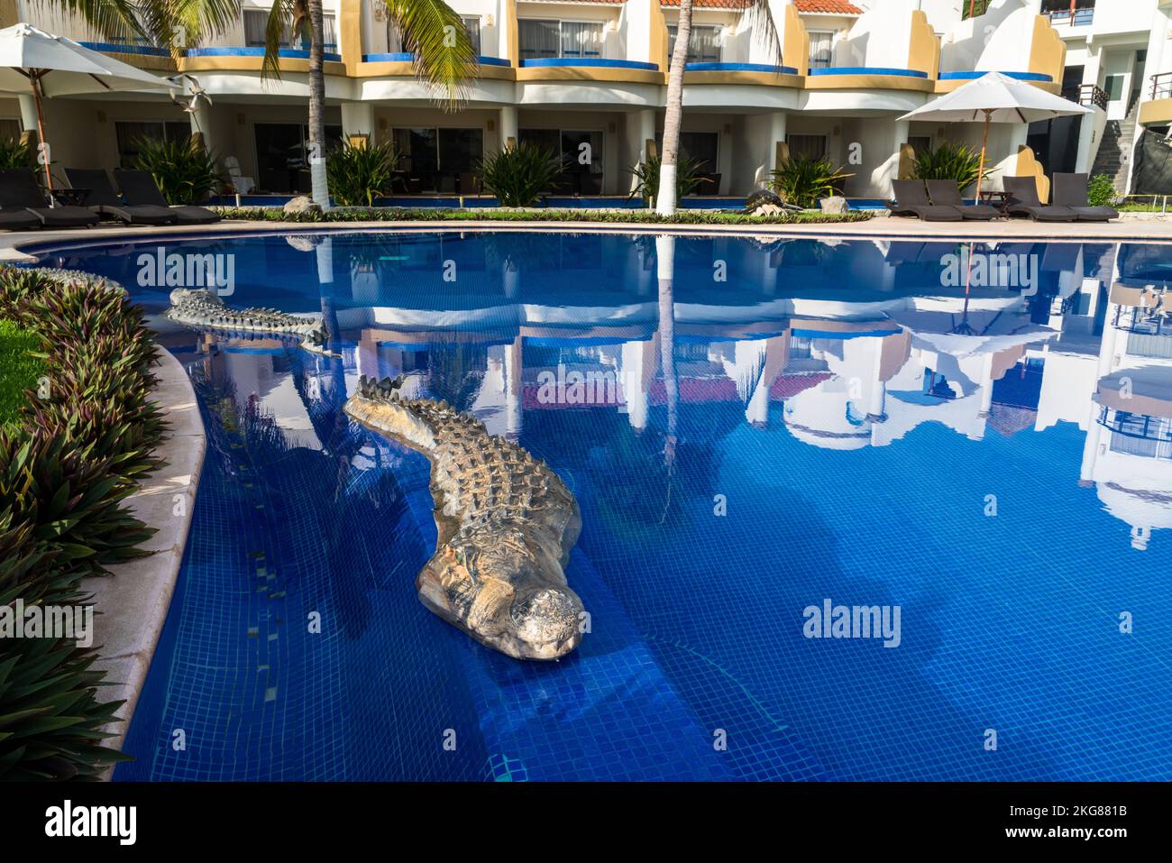 Una scultura di coccodrillo presso la piscina presso un hotel resort sulla spiaggia di Chahue nelle Bahias di Huatulco sulla costa pacifica di Oaxaca, Messico. Foto Stock