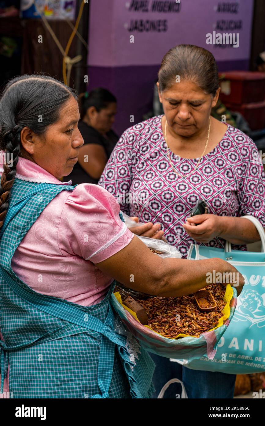 Una donna vende cappelline o cavallette arrostite nel mercato di Zaachila, Messico. Chapulines sono cavallette che sono tostate su una griglia comal Foto Stock