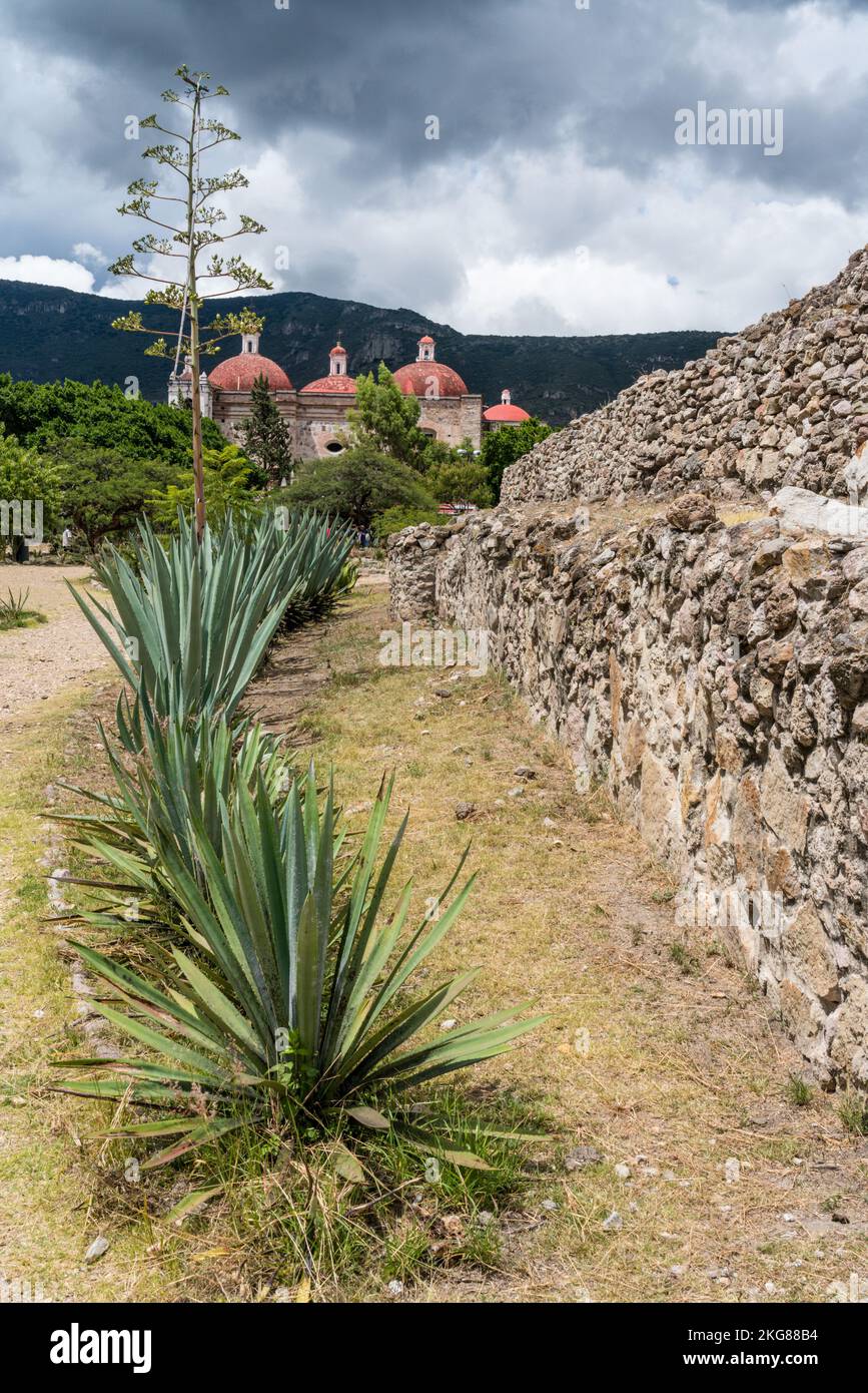 Agaves & il Tempio di San Pablo Apostol, o la Chiesa di San Paolo Apostolo a San Pablo Villa de Mitla, Oaxaca, Messico. È stato iniziato nel 1590 a. Foto Stock