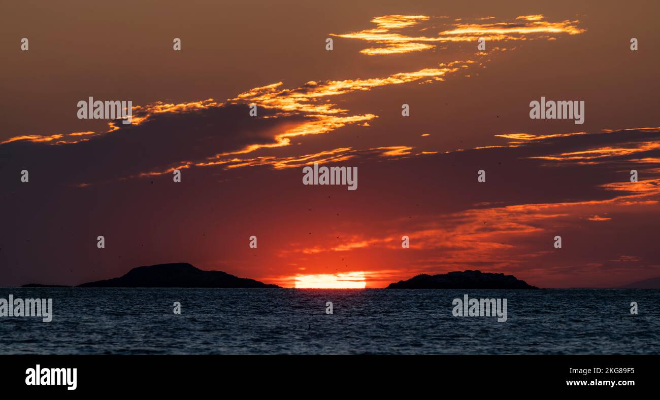 Alba sullo stretto di Juan de Fuca visto dal Parco Regionale di East Sooke sull'Isola di Vancouver, British Columbia, Canada. Foto Stock