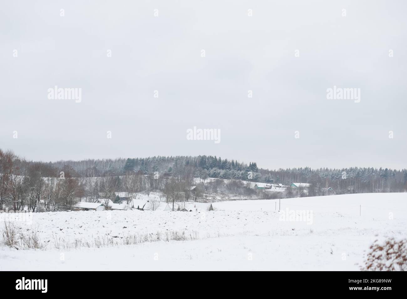 splendido paesaggio invernale in un piccolo villaggio con case, alberi ricoperti di neve Foto Stock