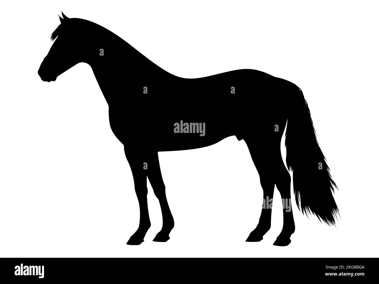 Una semplice illustrazione vettoriale di un cavallo Illustrazione Vettoriale