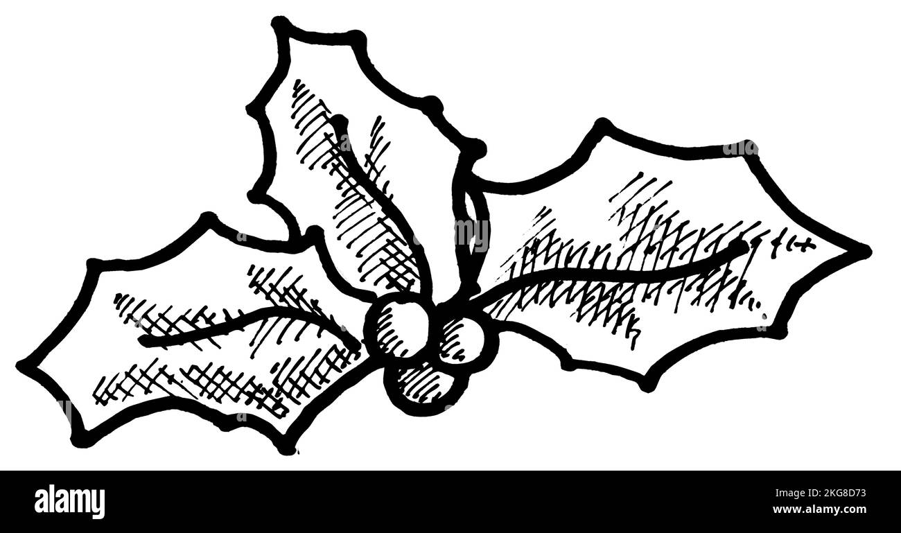 Icona Holly disegnata a mano libera Illustrazione Vettoriale