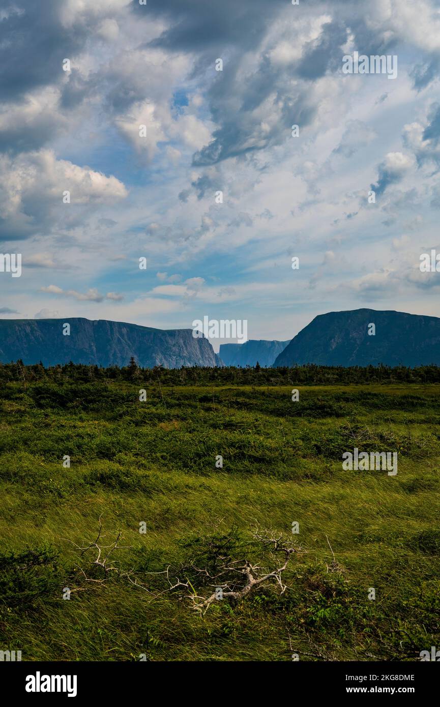 Canada, Labrador, Terranova, Long Range Mountains, paesaggio montano nel Gros Morne National Park Foto Stock