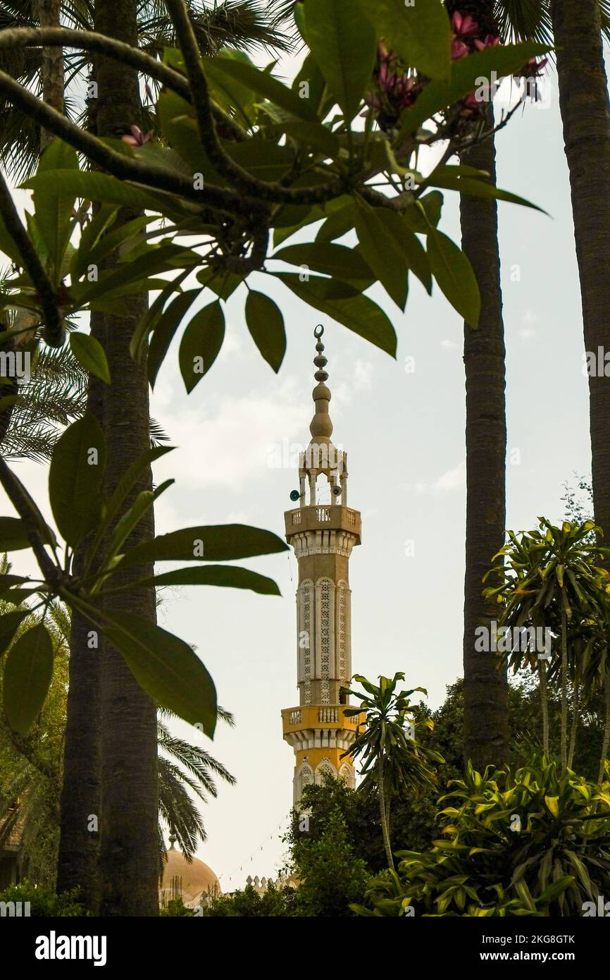 Egitto, Luxor, Minareto torre visto da dietro gli alberi Foto Stock