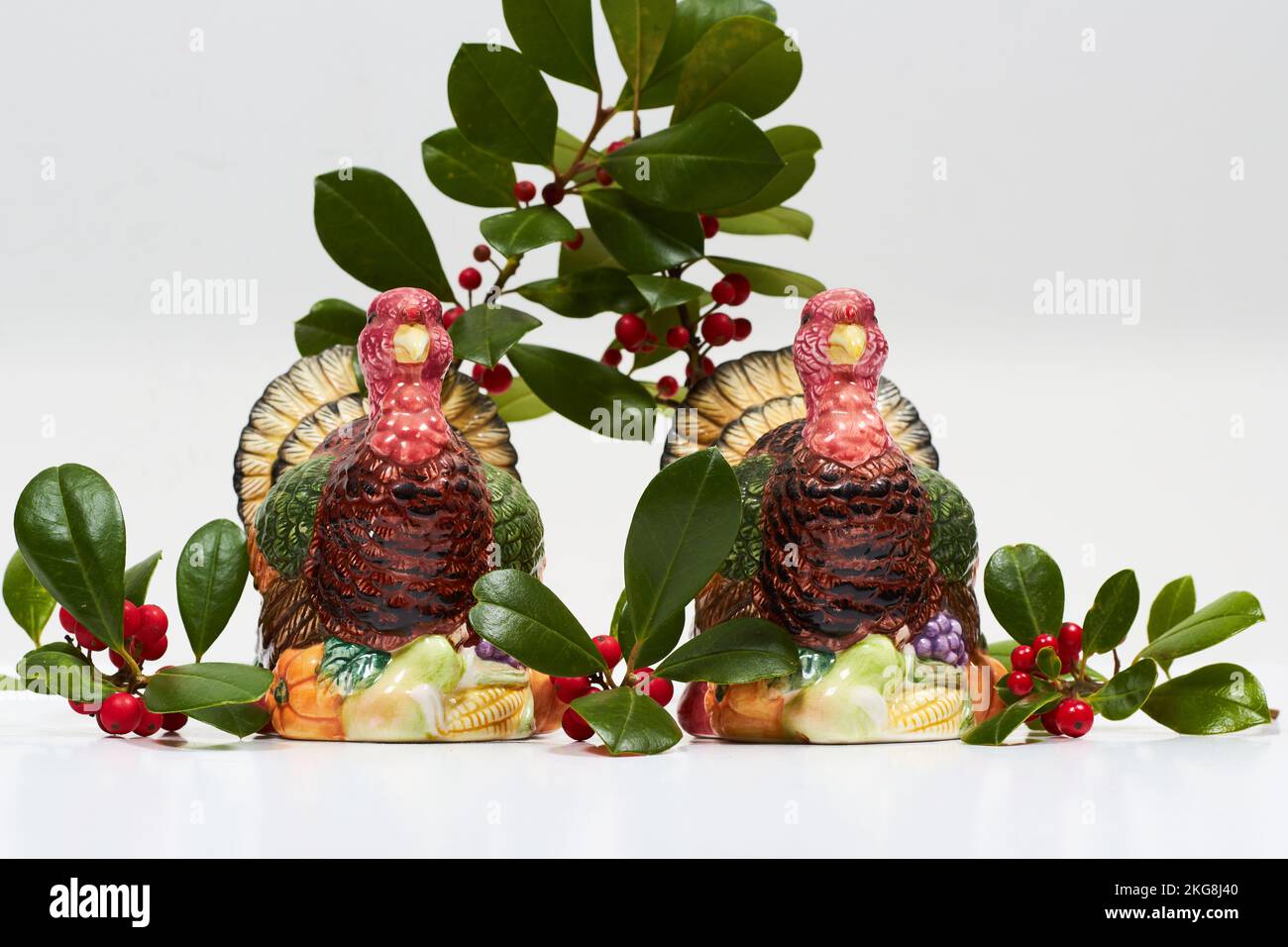 Thanksgiving sale & pepe tavola decorazione Foto Stock
