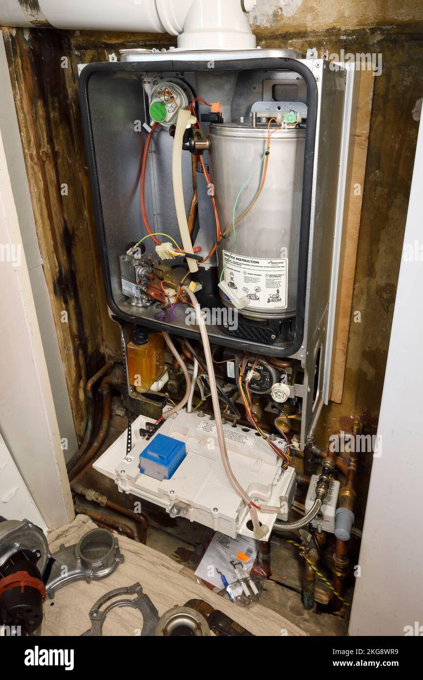 Una caldaia Worcester Bosch GreenStar 28i Junior con servizio annuale Foto Stock