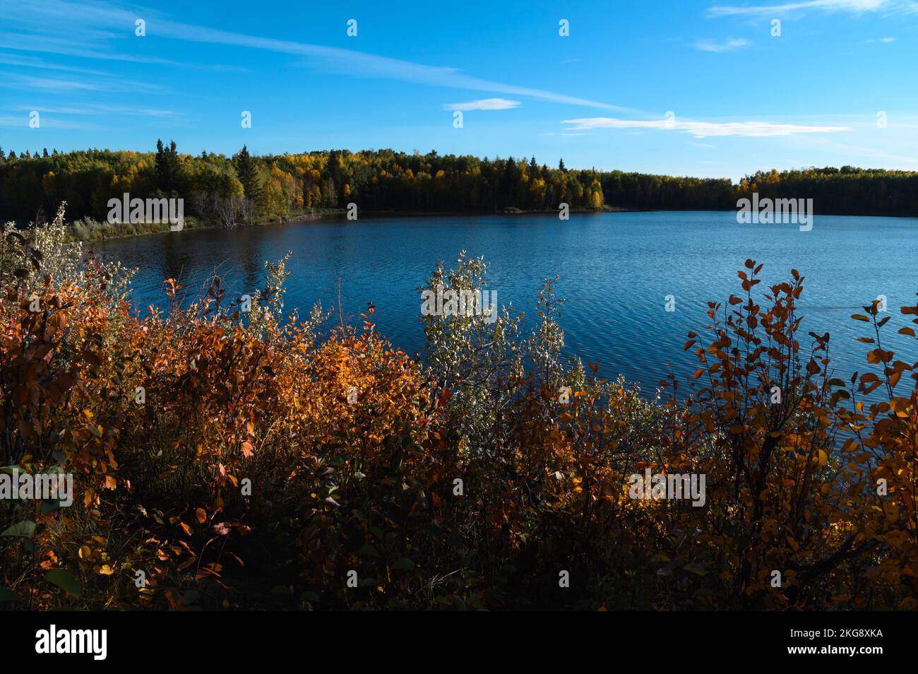 Paesaggio autunnale, lago Astotin, Elk Island National Park, Alberta, Canada Foto Stock